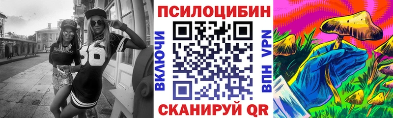 Купить закладки  Камызяк  Псилоцибиновые грибы мухоморы 